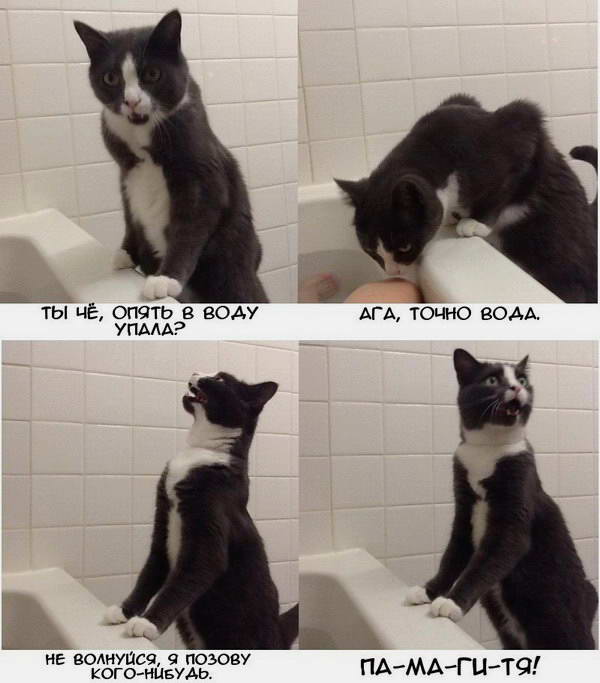 ��� � ����