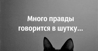 ������ � �����