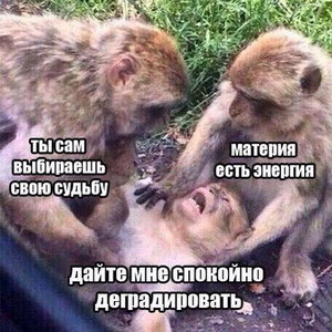 ����� �������� �������������