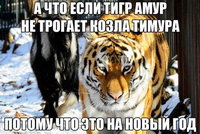 ���� � �����