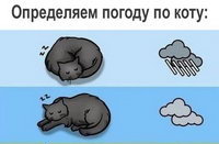 ���������� ������ �� ����