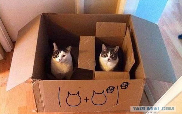���� � �������