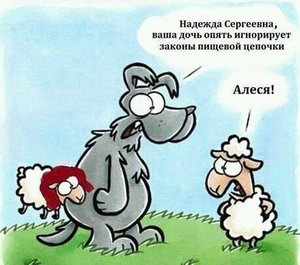 ������������� ������� �������