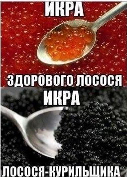 ���� ��������� ������ � ����������