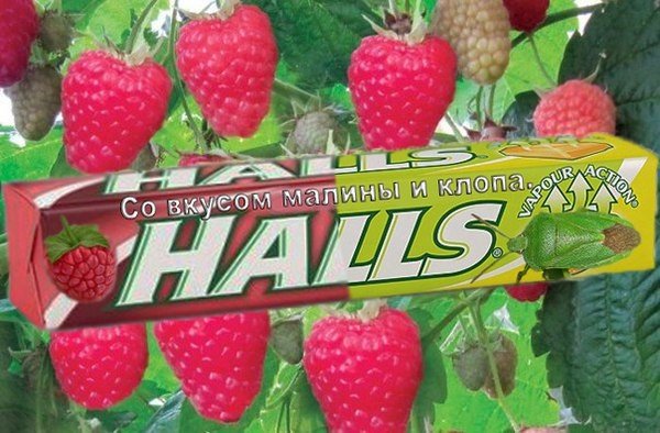 Halls �� ������ ������ � �����