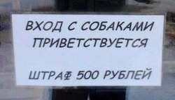���� � �������� ��������������