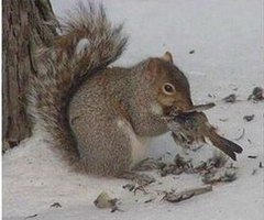 ����� � �����