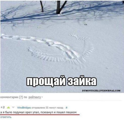 ���� ���� � �����