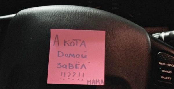 � ���� ����� �����?