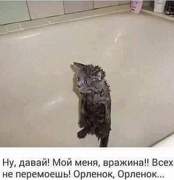 ��� ���� �������