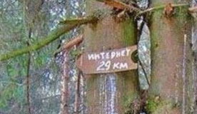�������� 29 ��