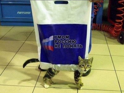 ���� ������ �� ������