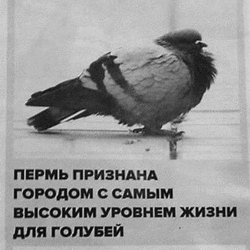 ������ � �����