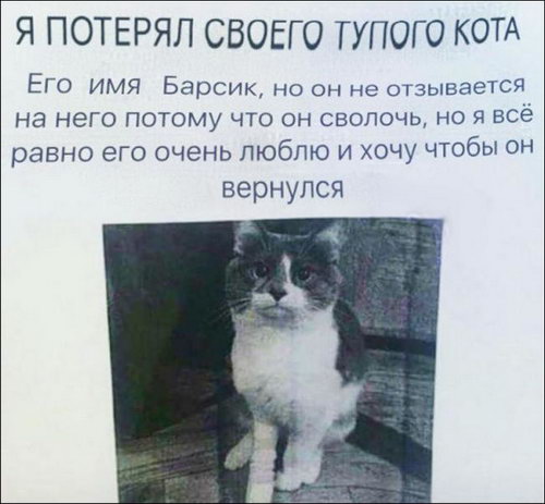 ��������� ���