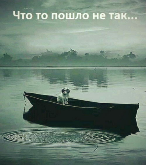 ���-�� ����� �� ���