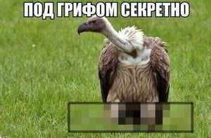 ��� ������ ��������