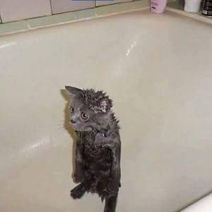 ��� � �����
