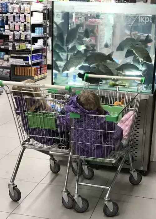 ���� � �������� ����� ����������