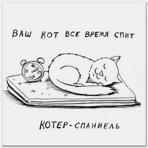 ���