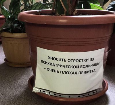 �������� �� ������������