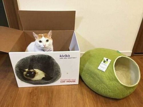 ��� � �������
