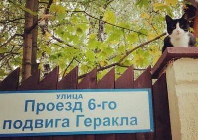 ������ 6-�� ������� �������