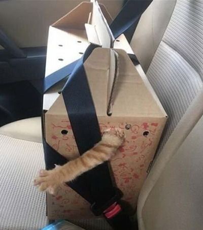 ��������� ���� � ������