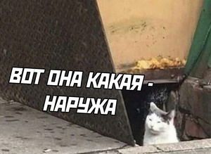 ��� ��� ����� ������