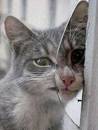 ��� � ����