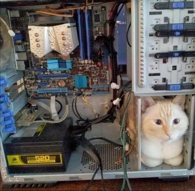 ��� � ����������