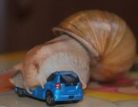 ������ ������ �� ������