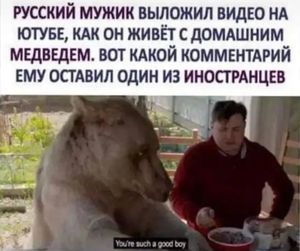 ������� � �������