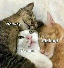 ������ �������� ������
