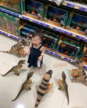 ������� � ���������