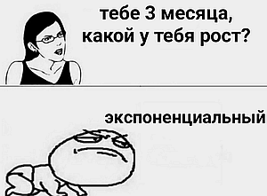 ���� ����������������
