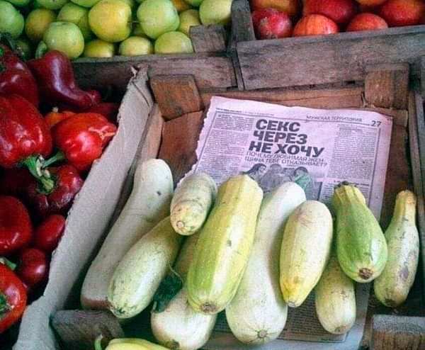 ���� ����� �� ����