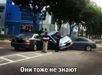 ������� �������