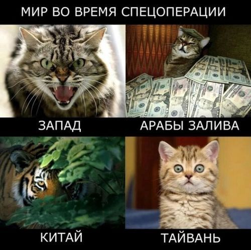 ��� �� ����� �����������