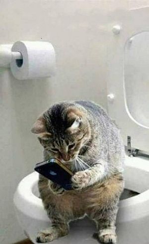 ��� ������