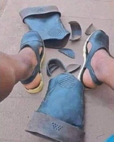 ������ � ��������