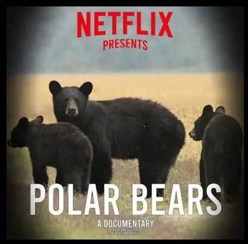�������� ������� �� Netflix