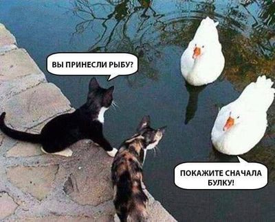 ���� - �����