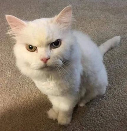 �����