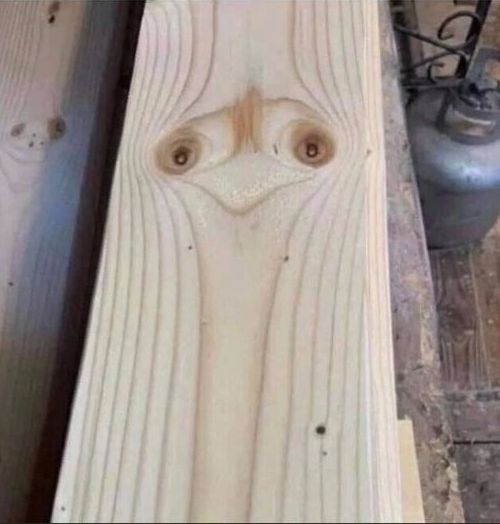 ������ � ������