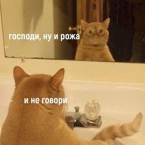��� � �������