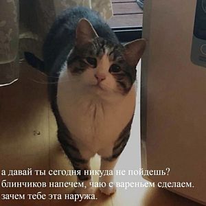 ������
