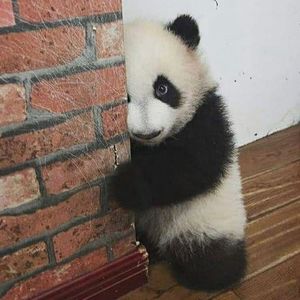 �����