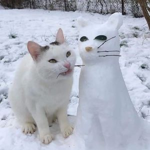 ��� � ���-��������