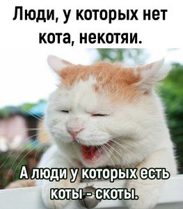 ������� � �����