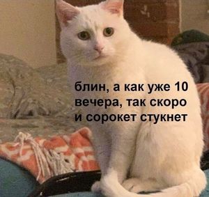 ��� � �����